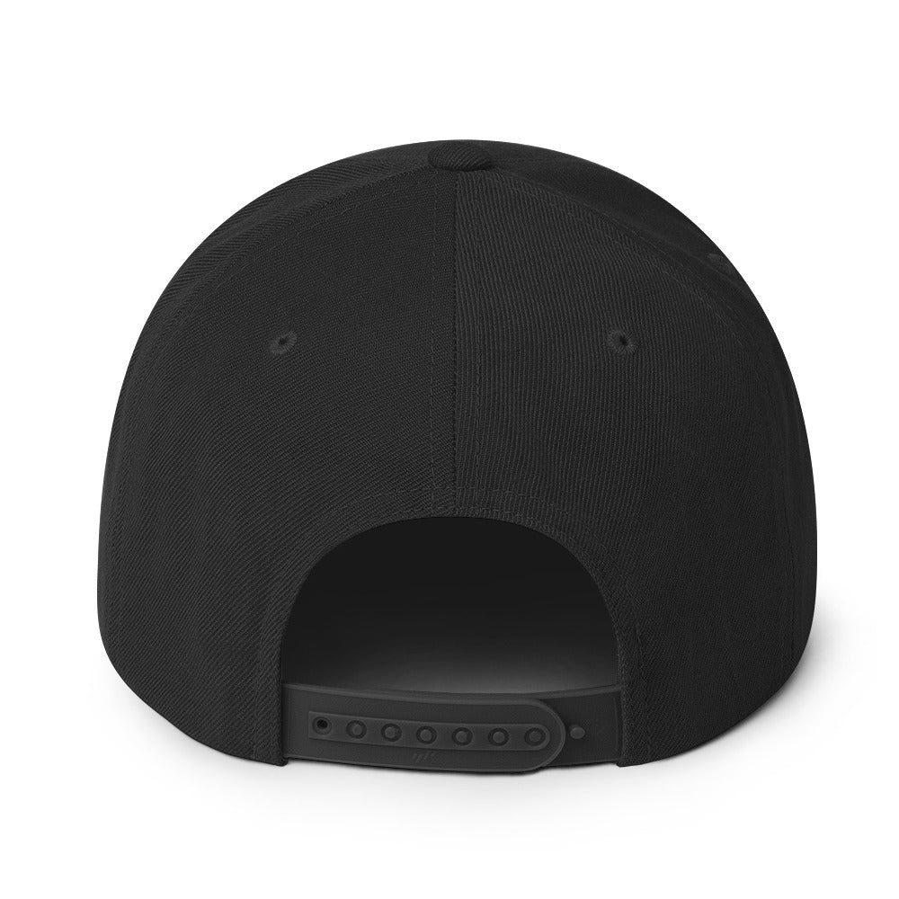 Snapback Hat - Sky Ops Live Signature Logo